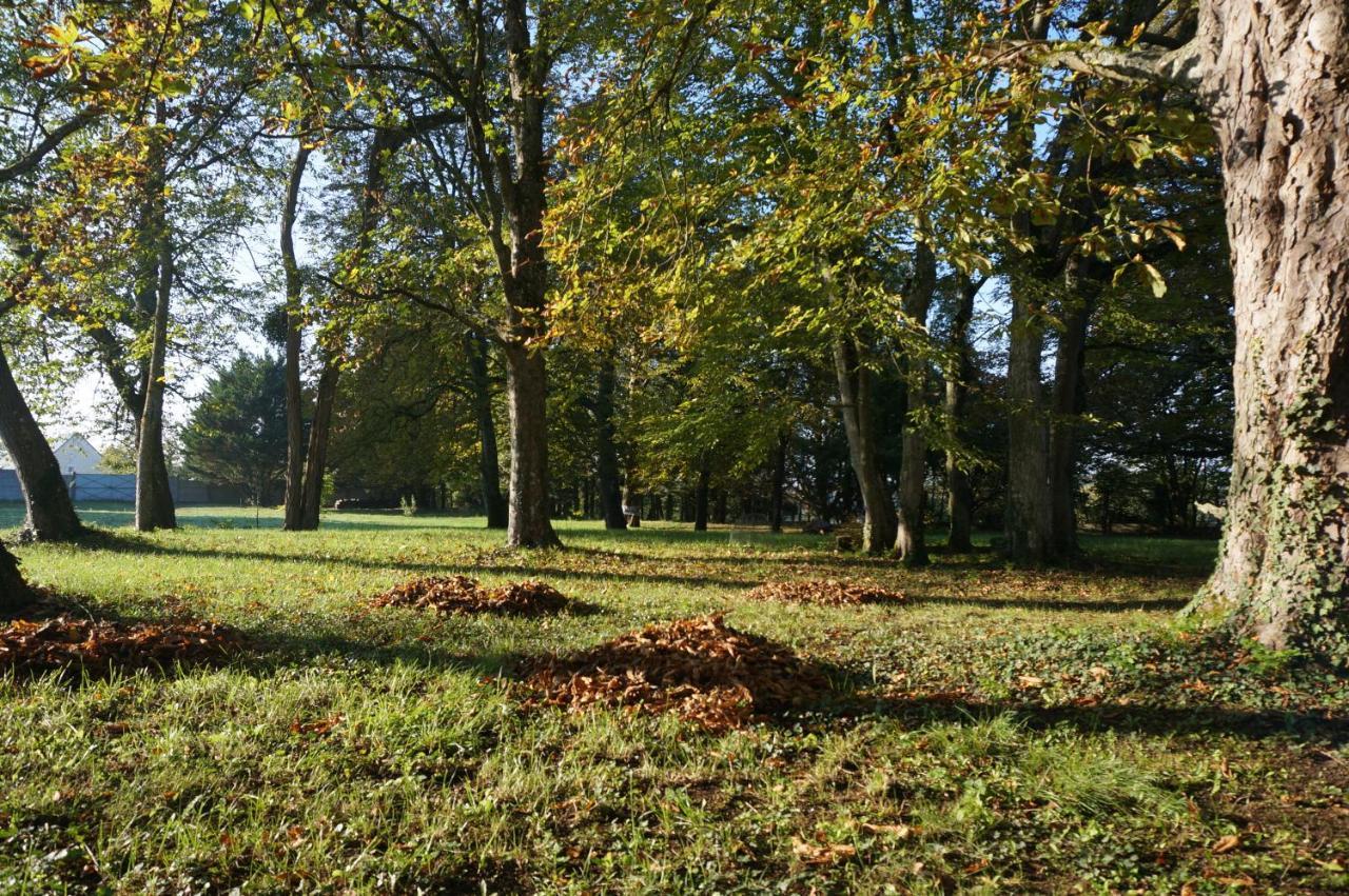 Domaine Du Moulin A Vent - Gite & Spa Saint-Florent-sur-Cher Eksteriør billede